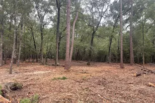 Tract B Mangum Rd, Livingston, TX 77351 - Photo 1