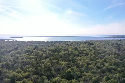 Tract B Mangum Road, Livingston, TX 77351 - Photo 4