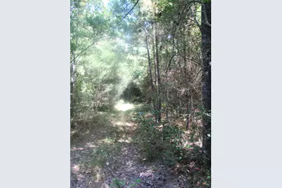 000 Tree Farm Rd, Magnolia, TX 77354 - Photo 6