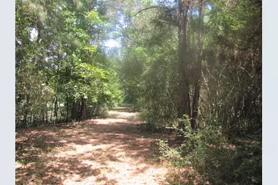 000 Tree Farm Rd, Magnolia, TX 77354 - Photo 2