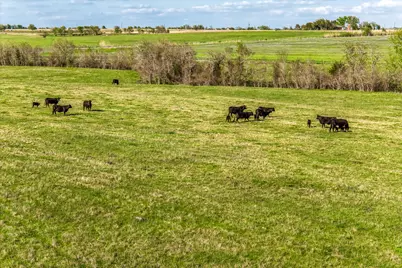 Tbd Fm 50, Brenham, TX 77833 - Photo 12