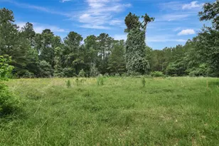 33207 Walnut Grove Dr, Magnolia, TX 77355 - Photo 46