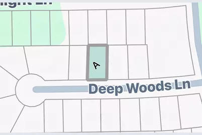 Tbd Deep Woods Lane Lane, Livingston, TX 77351 - Photo 2