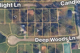 Tbd (Lot 25) Deep Woods Ln, Livingston, TX 77351 - Photo 1