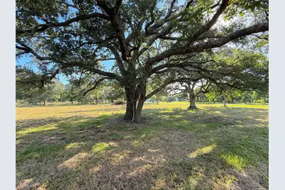 0 Brock Road, West Columbia, TX 77486 - Photo 6