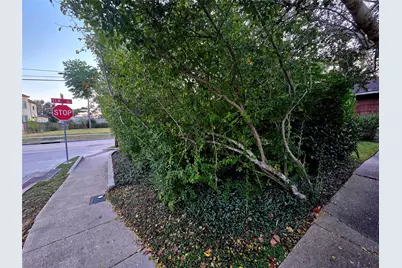 851 Jaquet Drive, Bellaire, TX 77401 - Photo 14