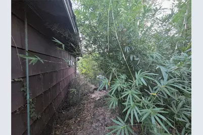 851 Jaquet Drive, Bellaire, TX 77401 - Photo 12