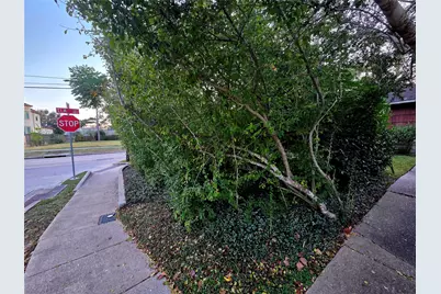 851 Jaquet Drive, Bellaire, TX 77401 - Photo 14