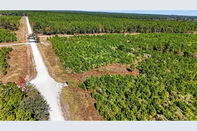 625 Trinity Trail, Lovelady, TX 75851 - Photo 10