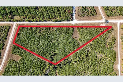 625 Trinity Trail, Lovelady, TX 75851 - Photo 4