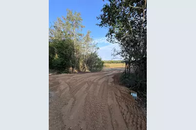 3391 Ruether Road, La Grange, TX 78945 - Photo 10