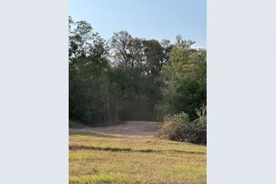3391 Ruether Road, La Grange, TX 78945 - Photo 14