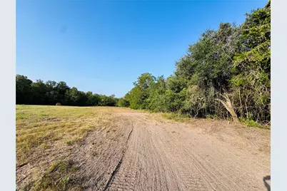 3391 Ruether Road, La Grange, TX 78945 - Photo 16