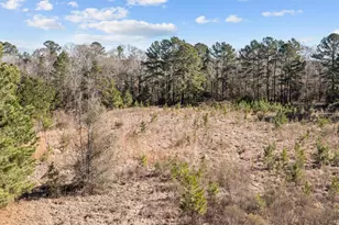 588 Linville Grimes Rd, Diboll, TX 75941 - Photo 26