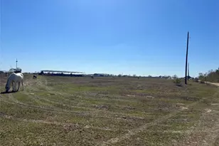 0 Mieth Road S, Sealy, TX 77474 - Photo 1