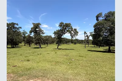 22349 Fm 359 Road, Hempstead, TX 77445 - Photo 8