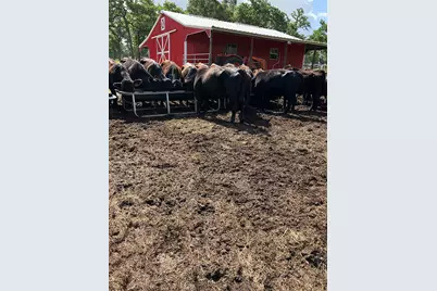 22349 Fm 359 Road, Hempstead, TX 77445 - Photo 16