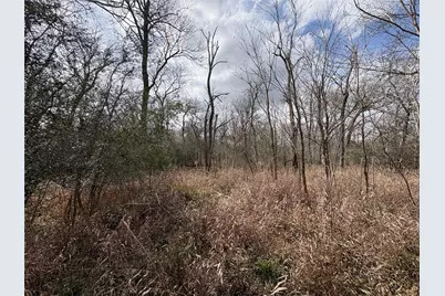 1649 Stone Street, Bedias, TX 77831 - Photo 42