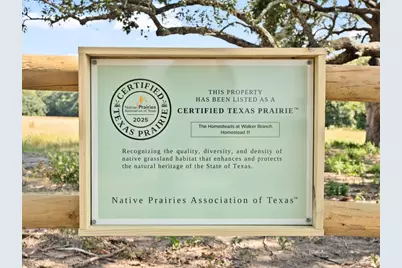 2961 Fm 956, Schulenburg, TX 78956 - Photo 10