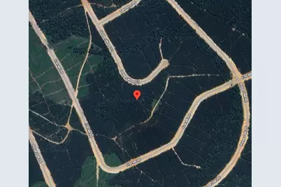 16235 Golden Wood Court, Willis, TX 77378 - Photo 12