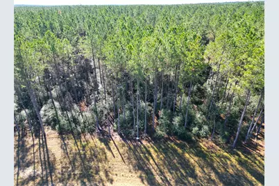 16235 Golden Wood Court, Willis, TX 77378 - Photo 4