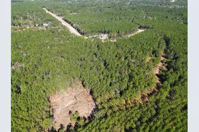 16235 Golden Wood Court, Willis, TX 77378 - Photo 2