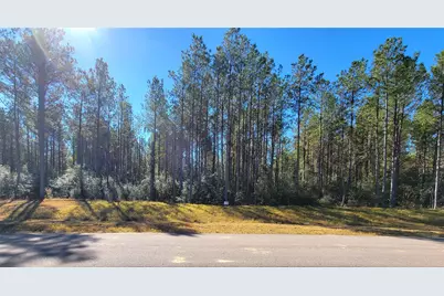 16235 Golden Wood Court, Willis, TX 77378 - Photo 6