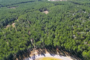 16235 Golden Wood Ct, Willis, TX 77378 - Photo 1