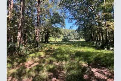 00 Hardy Bottom Road, Huntsville, TX 77340 - Photo 8