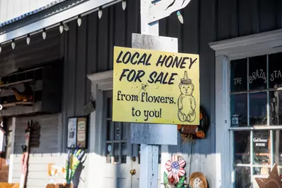 Tbd Sunny Hills Lot 31 Drive, Chappell Hill, TX 77426 - Photo 26