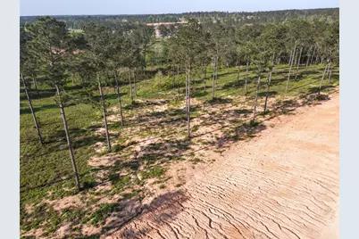 0 Tranquility Road, Livingston, TX 77351 - Photo 12