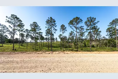 0 Tranquility Road, Livingston, TX 77351 - Photo 4