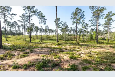 0 Tranquility Road, Livingston, TX 77351 - Photo 2