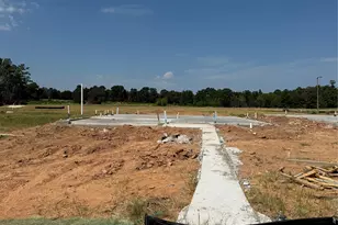 7982 Kastamonu St, Montgomery, TX 77316 - Photo 2