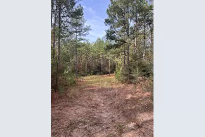 1432 Fm 1745 S, Chester, TX 75936 - Photo 6