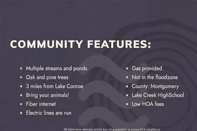 2413 Old Ranch Road, Montgomery, TX 77316 - Photo 4