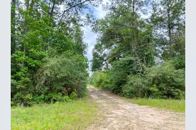 06 Fm 2937/Old Arco Rd, Silsbee, TX 77656 - Photo 1