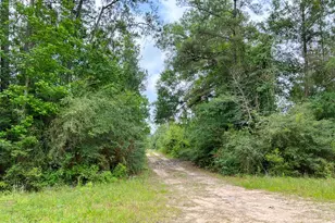 06 Fm 2937/Old Arco Rd, Silsbee, TX 77656 - Photo 1