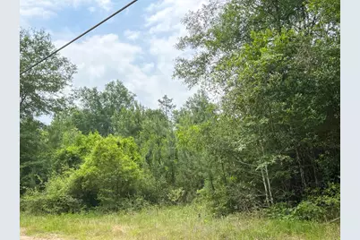 06 Fm 2937/Old Arco Rd, Silsbee, TX 77656 - Photo 2