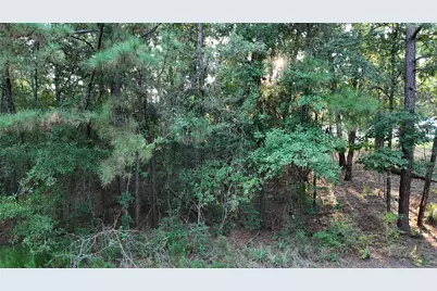 Tbd Whiteside Drive, Onalaska, TX 77360 - Photo 6