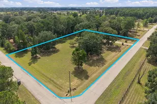 11014 Autumn Bend Dr, Conroe, TX 77303 - Photo 44