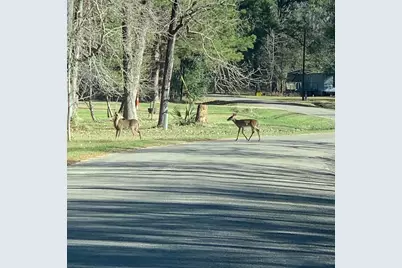 202 Armadillo T, Onalaska, TX 77360 - Photo 34