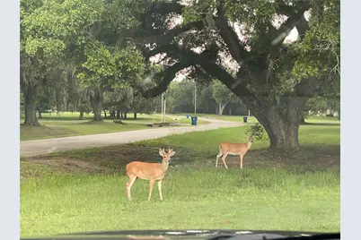 1120 Winchester Court, Angleton, TX 77515 - Photo 10