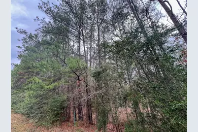 T-1 Highway 190, Newton, TX 75966 - Photo 6