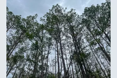 T-1 Highway 190, Newton, TX 75966 - Photo 8