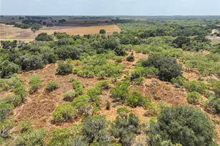Lot 22 Cr 124 Rd, Floresville, TX 78114 - Photo 16