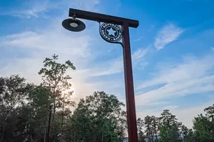 15831 Ridge Oak Rd, Willis, TX 77378 - Photo 28