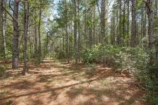 15831 Ridge Oak Rd, Willis, TX 77378 - Photo 8