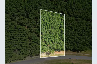 15831 Ridge Oak Road, Willis, TX 77378 - Photo 1