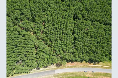 15831 Ridge Oak Road, Willis, TX 77378 - Photo 22